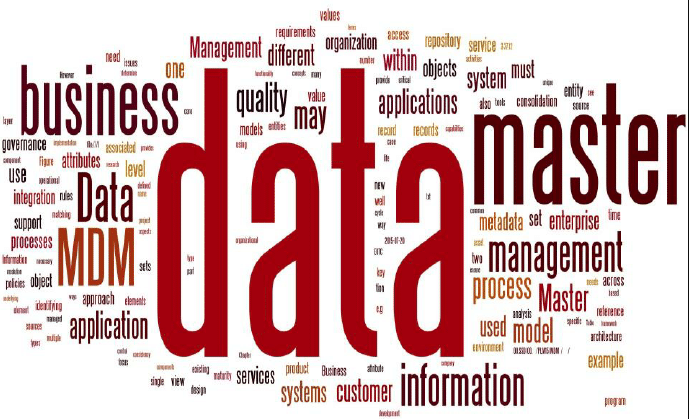 All Types of Master Data Management with All Details
